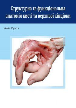 Структурная и функциональная анатомия кисти и верхней конечности Амит Гупта 2021г. 48370221 фото