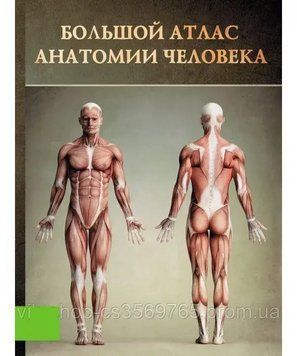 Великий атлас анатомії людини Вінсент Перез 2013г. 201432 фото