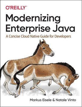 Modernizing Enterprise Java. A Concise Cloud Native Guide for Developers 2245098899 фото
