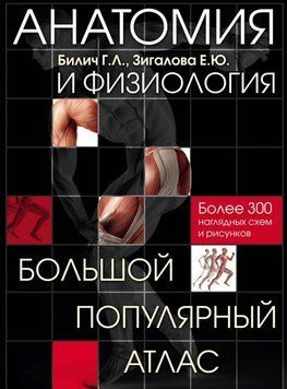 Анатомія та фізіологія. Великий популярний атлас Біметал Г.Л. 2017г. 201764 фото