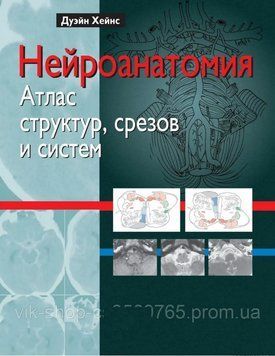 Нейроанатомія. Атлас структур, зрізів і систем Дуейн Хейнс 2008г. 20081 фото