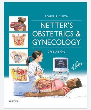 Netter's Obstetrics and Gynecology 3rd Edition by Roger P. Smith 2017 67532 фото