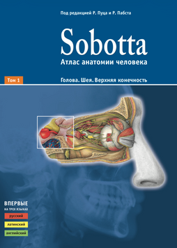 Sobotta. Атлас анатомії людини. 1 том. Голова. Шия. Верхня кінцівка під ред. Р.Пуца та Р.Пабста 3453-11 фото