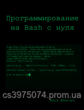 Программирование на Bash с нуля Шпигорь И. 465891 фото