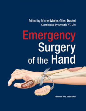 Екстрена хірургія кисті. Emergency Surgery of the Hand Michel Merle, Gilles Dautel 489020234 фото