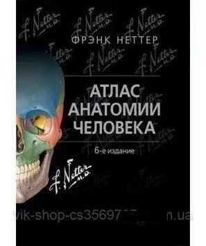 Атлас анатомии человека Фрэнк Неттер 6 издание (основа атласу на латыни) 79244 фото