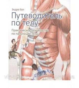 Путеводитель по телу, практическое руководство по пальпации тела Эндрю Бил 2017г. 543542 фото